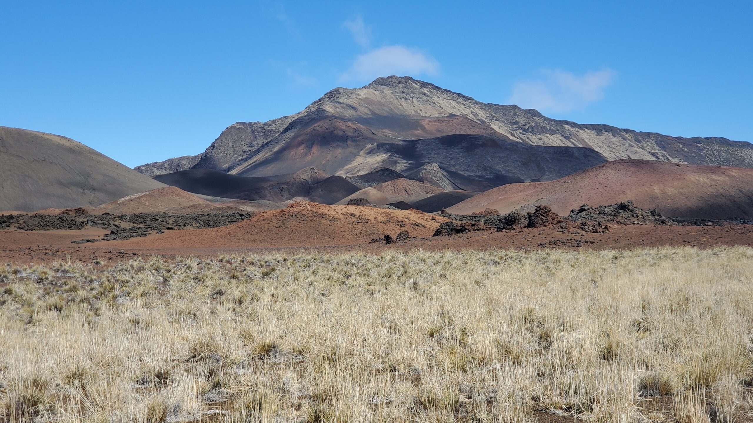 Short, dried grasses growing at the base of barren red-orange and grey cinder cones