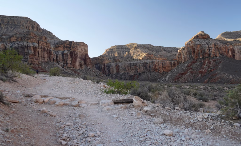A backcountry trail crosses a desert landscape speckled with small shrubs. In the distance, canyon cliffs rise skyward.